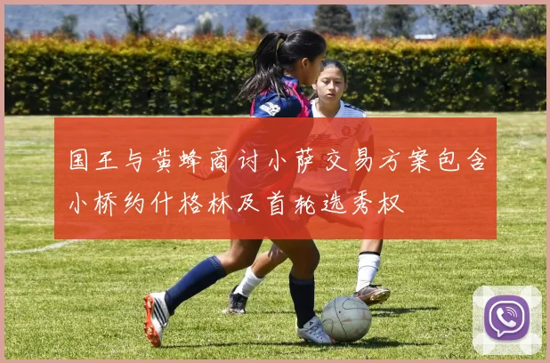 国王与黄蜂商讨小萨交易方案包含小桥约什格林及首轮选秀权